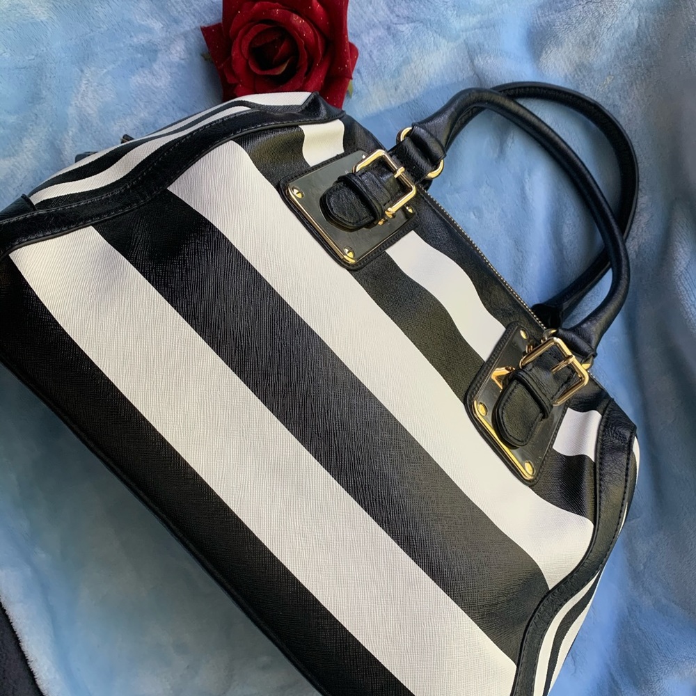 ALDO handbag